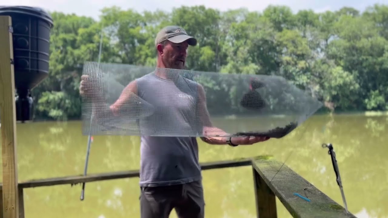 How to make a quick and easy fish basket/ trap to catch minnows