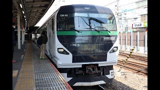 E257系5000番代OM 93編成「踊り子59号」 送り込み回送 2024年2月10日