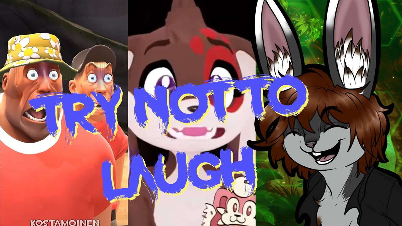 Try not to laugh Challenge 13