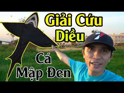 cách buộc dây diều cá mập