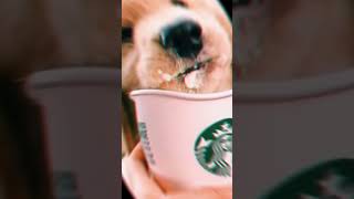 Download Lagu Beran🌵🐏♈ MP3