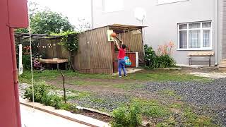 En Ezik Basketbolcular