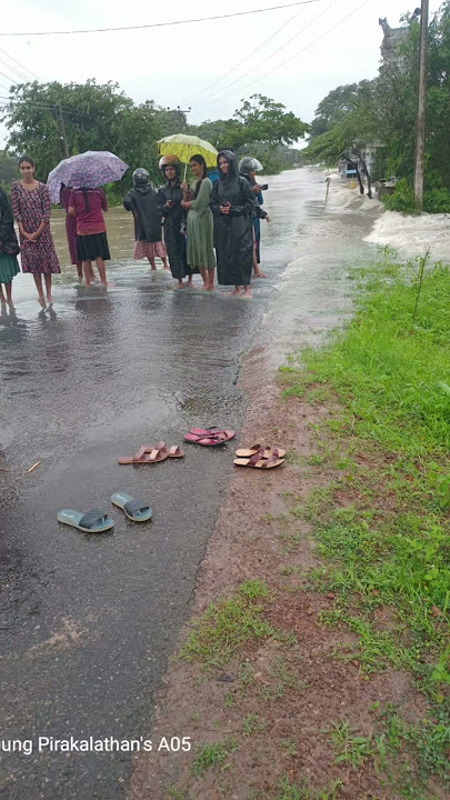 ஆமாங்க  🙏🏻  #srilanga  #nature #cutesong #malzai  #thannir #puyalsetham #vellam #saalai