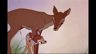 Bambi + Bambi 2 - Mother's Every Line