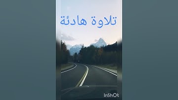 تلاوة هادئة للشيخ ماهر المعيقلي