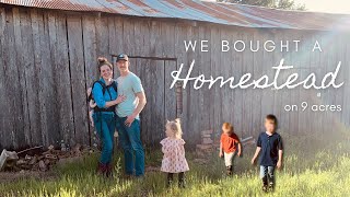 We Bought a Homestead on 9 Acres | Buying our First Home | We Bought Land! screenshot 3