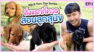 Niji Yoru The Series EP.1 สิ่งแรกที่ควรสอนลูกสุนัข I หมาสมุด