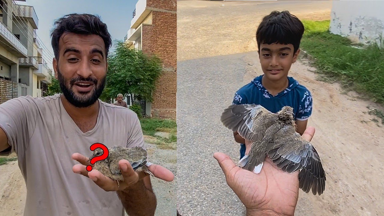 Es Ko Adopt Kr Lia 🥰