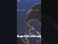 مقدمة برنامج احداث 24 ساعه علي التلفزيون المصري زمان