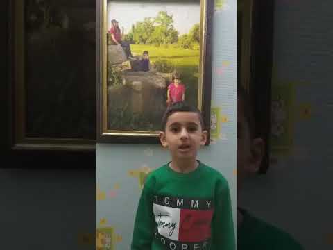 پەرتووک محەمەد بەرزی