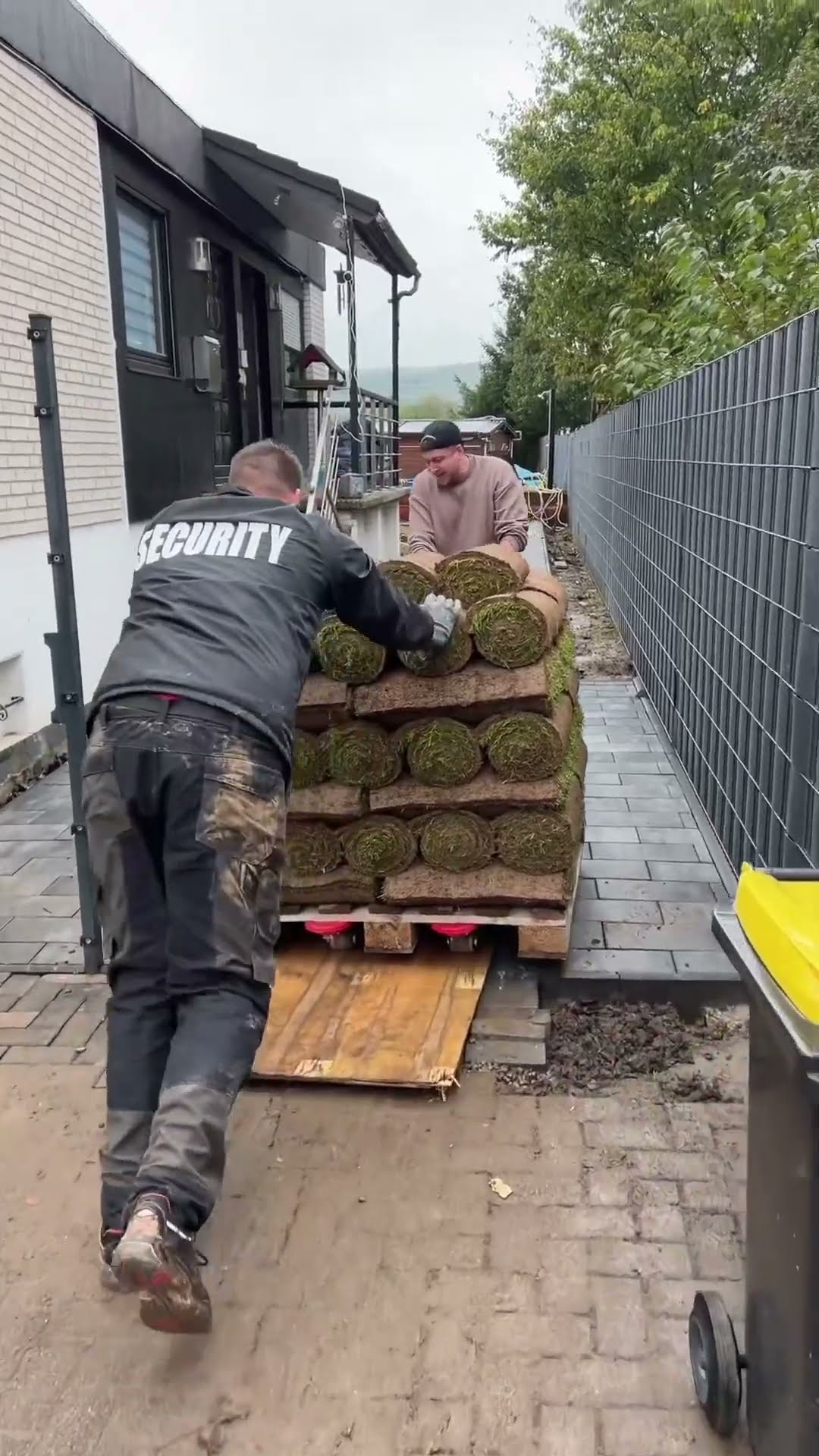 Wir verlegen Rollrasen bei Rene im Garten 💀😂 - YouTube