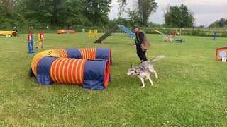 IDAL 40X85 Paws4Fun Dragon 14Jun23