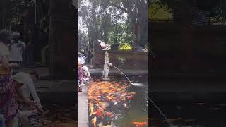 tirta empul temple,book your bali tour guide driver,whatsapp +6281338577313