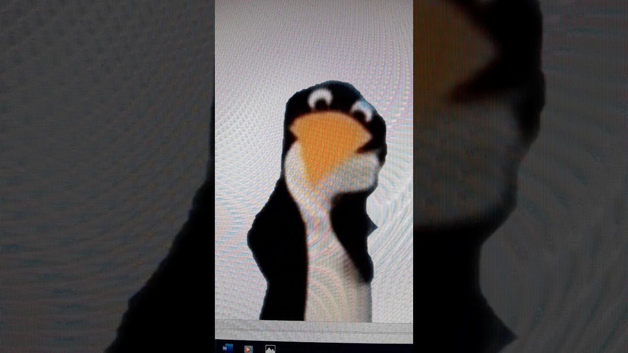 Baby Einstein Puppet, Penguin - YouTube
