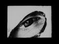 4K Restoration – Official Teaser