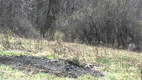 3, 1 pound In The Red targets