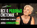 Всё о родовых системах. Анна Климантова