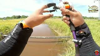 Casting Haruan Yes GoGo soft bait 10-X screenshot 4