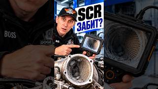 🔥 КАТАЛИЗАТОР ОЧИСТИЛСЯ САМ? Проверили эндоскопом после регенерации!