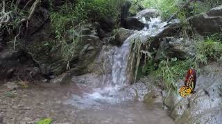 the sound of a mountain stream  nature sound