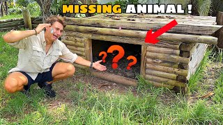 MY ANIMALS ARE MISSING ! WHAT NOW ?!