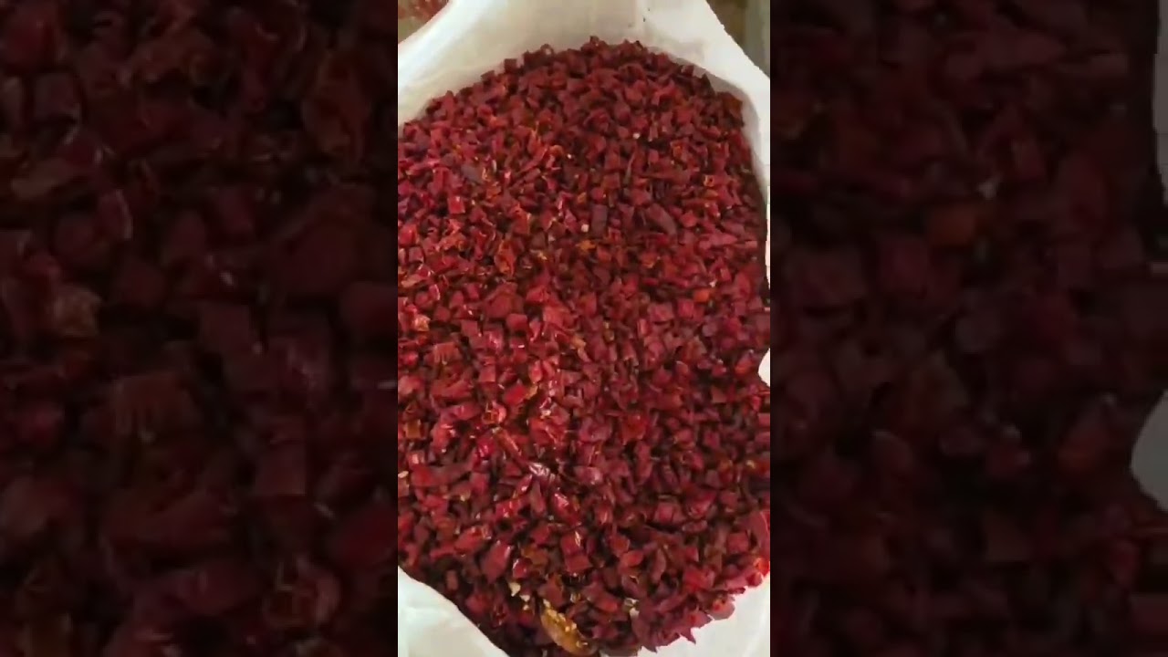 2025 New model Angelon double layer chili color sorting machine special for cutting chili