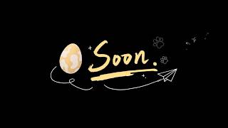 Three Betas Later, Its Almost Time To Bring Them Home Aniimo Promise Eggs