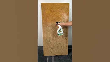 How to destroy mold in 15 seconds 👀#rmr #rmrsolutions #mold #moldremoval #moldremediation