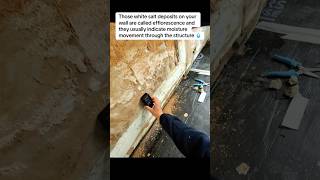 Why White Salt Deposits Appear On Damp Walls??? #damp #dampproofing #dampissues