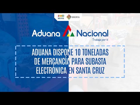 Aduana dispone 10 toneladas de mercancía para Subasta Electrónica en Santa Cru