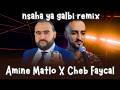 Cheb Faycal X Amine Matlo Nsaha Ya Galbi Rai Remix 2026 