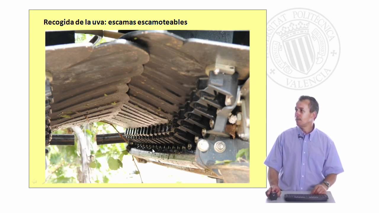 Vendimiadoras Integrales |  | UPV