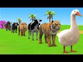 Long Slide Game with Cow Elephant Gorilla Hippopotamus Tiger 3d Animal Game Funny 3d Animals