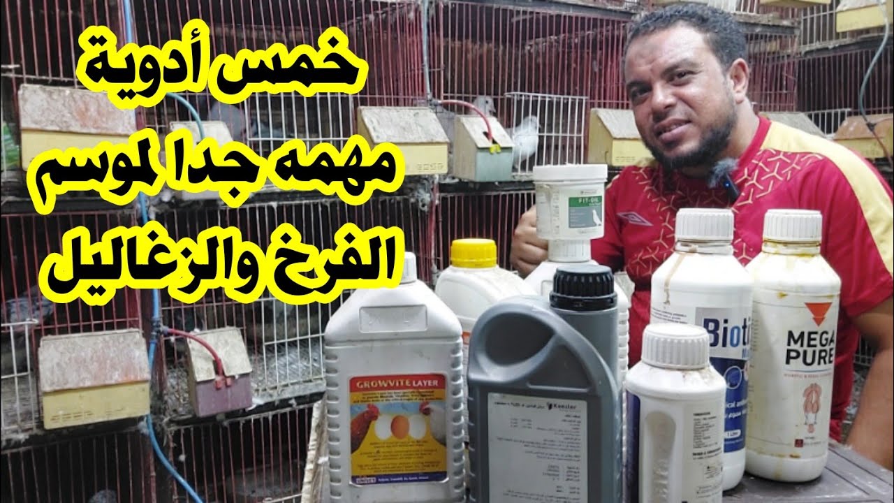 خمس أدوية مهمه جدا وانسي أمراض الحمام نهائي