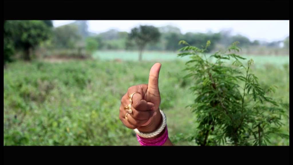 best cycle for students