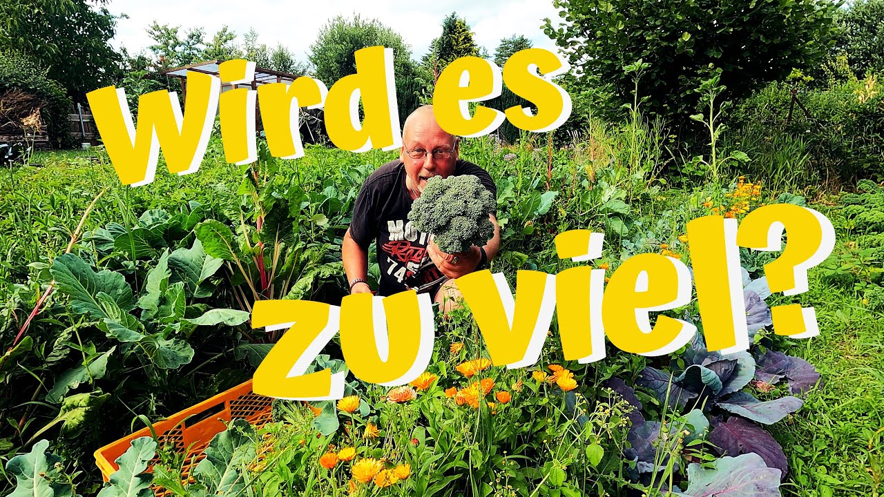 Zu viel Gartenarbeit? Trotzdem stressfrei durch´s Gartenjahr / Neues Experiment im Strohballenbeet
