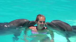 Плавание с дельфинами в Шарм Эль Шейхе. Дельфинарий в Египте.
