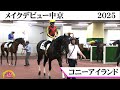 リバティアイランドの半妹がデビュー勝ち!「コニーアイランド」【うまDOKI】