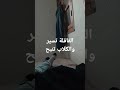 القافلة تسير والكلاب تنبح 