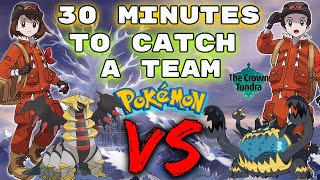 30 minutes to catch RANDOM POKEMON in the CROWN TUNDRA. Then we FIGHT!