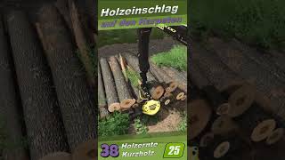 🌲Holzeinschlag in der Karpaten🌲38🌲 #ls25 #fs25