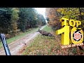 Top 10 Rêves De Chasse n°5 - Février 2023 - Edition spéciale "Grands Cervidés"