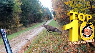 Top 10 Rêves De Chasse n°5 - Février 2023 - Edition spéciale \