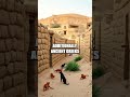 The Role of Cats in Ancient Cultures