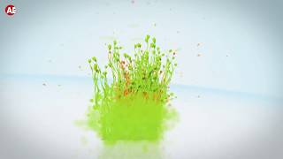 Particles Splash Logo Opener