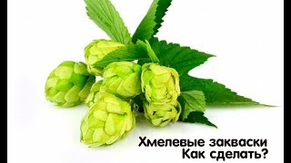 Три хмелёвые закваски за сутки! Три хмелёвые закваски за сутки!