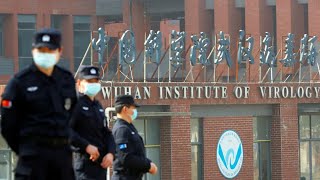 China rejects WHO plan to further study COVID-19 origins