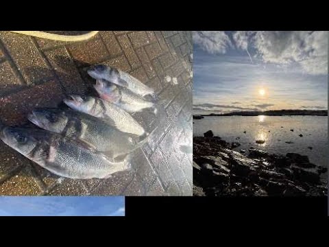 8 big bass netting guernsey Channel Islands
