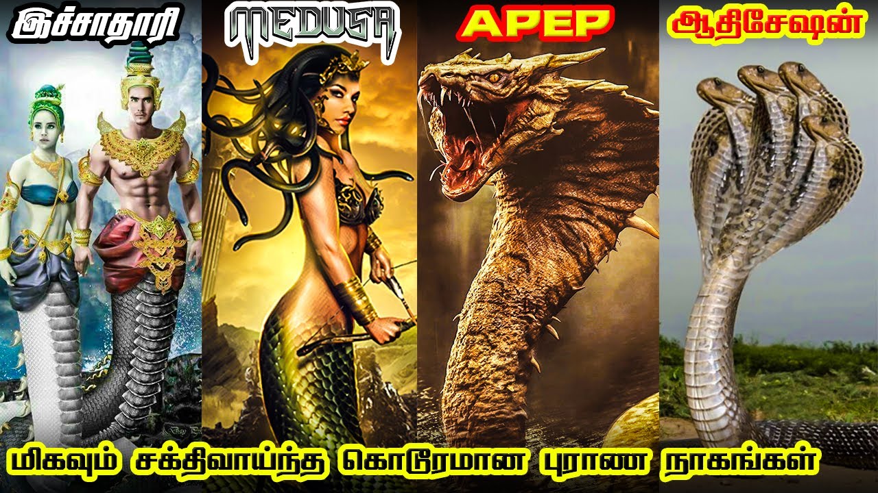 7 strongest & powerful snakes in every Mythology | மிகவும் சக்திவாய்ந்த கொடூரமான புராண நாகங்கள்