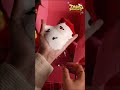 "Christmas Wonders Unwrapped: Experience Heartwarming Surprises on YouTube!"#squishytoy #Christmas